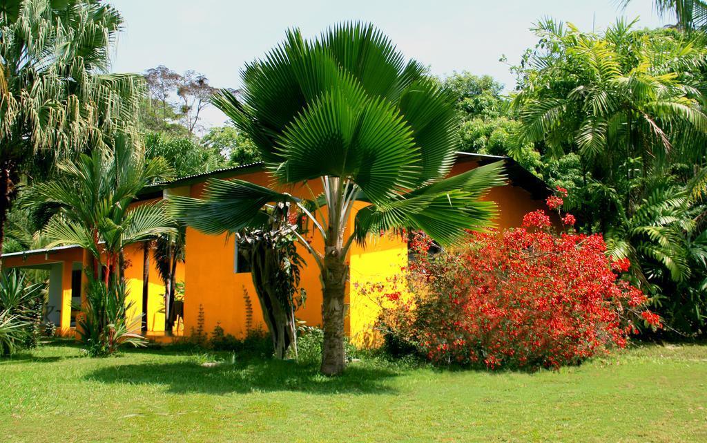 El Ranchito Surfcamp Pedregal Exterior foto